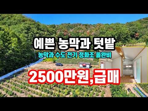 (계약진행중)경북땅 급매물, 농막 포함 단돈 2500만원에 급매! 싼땅 시골땅 farming 귀농 귀촌 주말농장 산골 오지땅