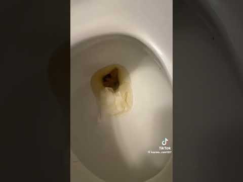 girl flushing her poop