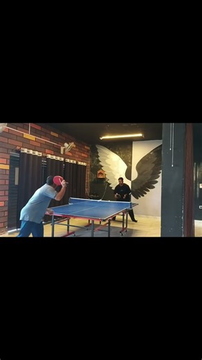 Table Tennis: The Most INSANE Sport (and why you should care)