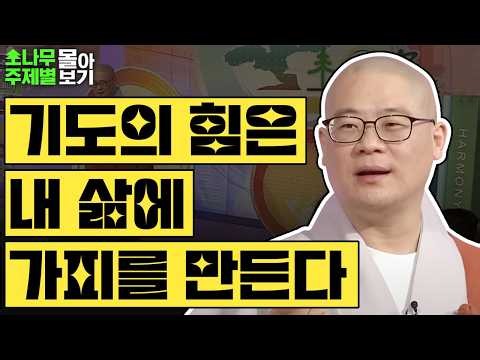 기도의 힘은 내 삶에 가피를 만든다🍀 [광우스님 소나무 주제별 몰아보기]