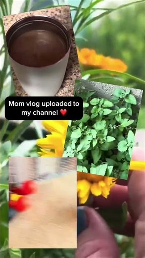 POV: I Finally Posted My First Real Mom Vlog ☕✨ #cat #garden #momlife #momvlog