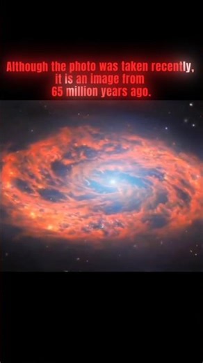 This photo is 65 Million Years Old...