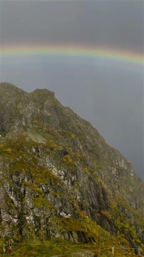 Starting the year with something special ❤️ #Shorts #Nature