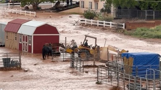 Horses and Vehicles Swamped by Muddy Floodwater in Southwestern Utah