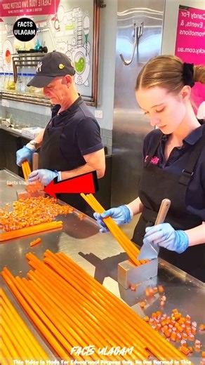 How a Father Lost to Win Big for His Daughter😱😱| #factsintamil #factsulagam #short