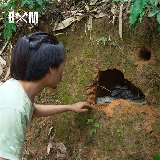 Catching Snakes By Hand - Primitive Hunting and Survival #camping #bushcraft #survival #shelter #outdoors | Bushcraft Master