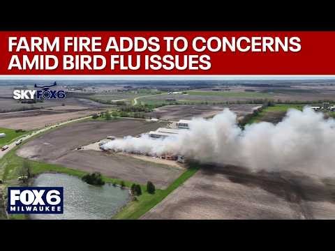 Palmyra egg farm fire adds to concerns amid bird flu issues | FOX6 News Milwaukee
