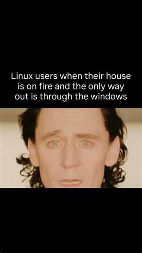 Linux users be like 💀