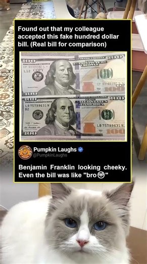 That side eye is sending me 💀| USA memes | relatable memes | dank memes