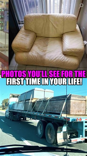 Photos you'll see for the first time in your life! 😱 . . . #curiosities #curiosity #animals #didyouknow #curious #curiousworld #unknown #curiosities🔍 #knowledge #likes #unknownfacts #facts #unbelievablefacts #curiousfacts #didyouknow❓ #curious #fact #mystery #news #novelties #amazing #knowledge #didntknow #worldcuriousfacts #incredible #nerdcuriosities #fantastic #fantasticnerd | Clan of the Curios