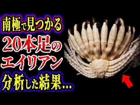 【ゆっくり解説】２０本足のエイリアン...南極で発見されたヤバすぎる奇妙な生物４選【UMA・未確認生物】