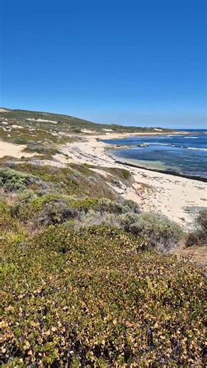 Peter Tsorvas on Instagram: "Umbies break Gracetown WA.The scene of a tragic shark attack. Chris Boyd taken doing what he loved best, surfing. In November 2013 was just another day for him until it wasn't. A 5 mtr White Pointer attacked out of the blue. This spot is notorious for shark attacks 3 in 10 years yet people as you can see disregard the danger and paddle out to sea. Some people are willing to die for their passion, no different to motorcycle riding I suppose. 🦈🏍"