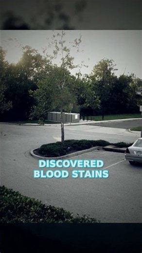 Why Was Her Car Locked If She Was Dragged Away? #Shorts #truecrime #unsolved