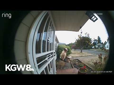Thief caught on camera stealing woman’s grocery delivery in NE Portland