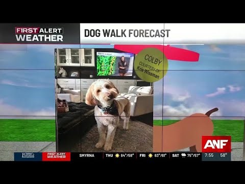 First Alert Weather in Atlanta: Dogwalk forecast