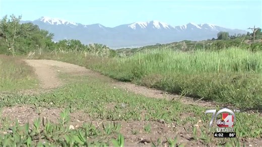 Woman injured after motorbikes tear through Dimple Dell Park on Earth Day
