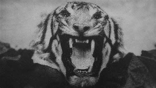 This Tiger Killed More Than 400 People - Then One Hunter Went After Her