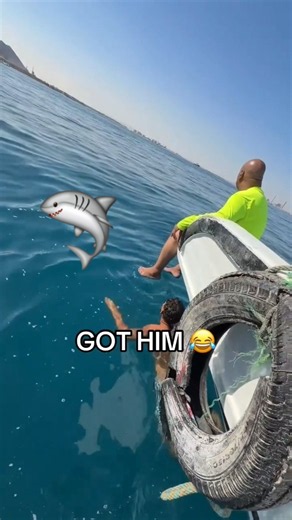 Shark PRANK is CRAZY😅