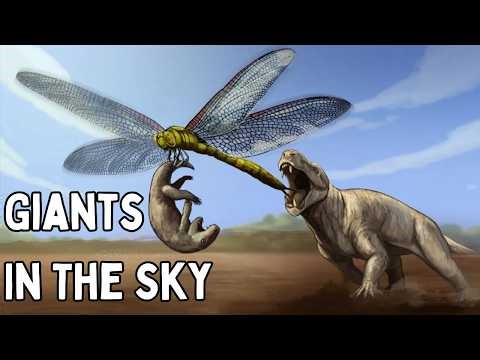 What Ruled The Skies Before Pterosaurs And Birds