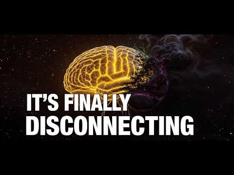 🧠 STOP: The Universe Is Having A Stroke