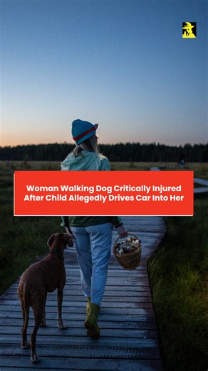 Woman walking dog critically injured after child allegedly drives car into her