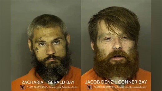 Brunswick County vehicle break-in suspects arrested in South Carolina