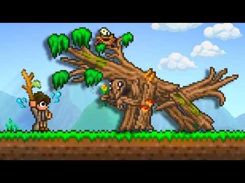 Can I Beat Terraria Using The HARDEST Class?