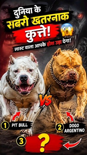 The World's Most Dangerous Dogs 😱 #shorts #facts #dogs #factoria