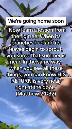 returnoftheking rapture raptureready raptureiscoming... #Shorts #rapture_now