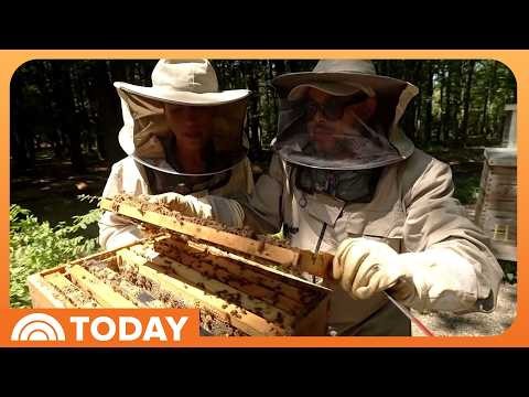 Couple Behind Lomar Farms on Importance and Joy of Beekeeping