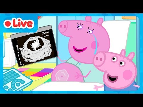🔴 LIVE: George Pig And Baby Evie Adventures 🍼 Peppa Pig & Evie Pig Full Episodes | Kids Cartoons
