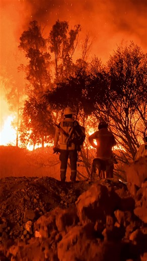 Incendio en Tarija: ¿Hasta cuándo no entenderemos que somos parte de la naturaleza?