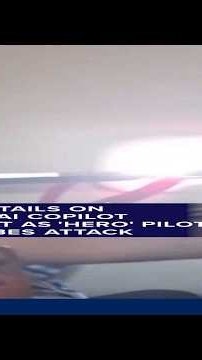 New details on FlyDubai copilot suspect as 'hero' pilot describes attack