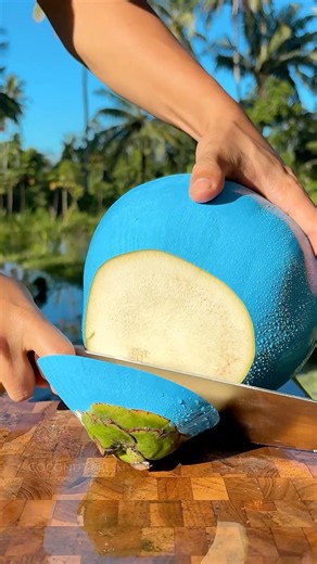 You’ve Never Seen a Coconut from Melanesia Like This