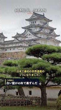 姫路城は、傾いていました 支えるのではなく、全部ばらして組み直しました