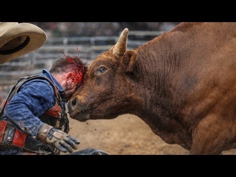 When Bull Riders Faced PURE TERROR