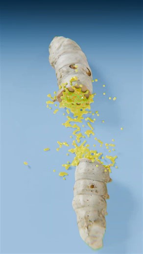 Exploding Ants vs Frozen Frog