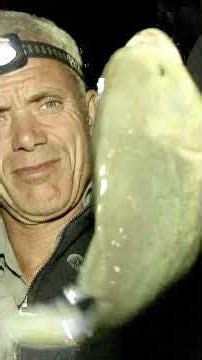The BIGGEST Piranha Jeremy Wade has ever caught 😮