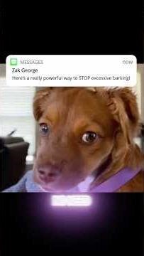 Message from: Zak George