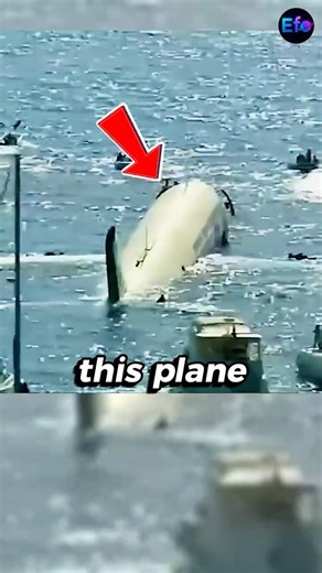 They Sink This Plane on Purpose ✈️🌊😳