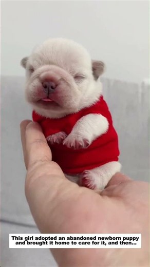 This girl adopted an abandoned newborn puppy and brought it home to care for it, and then...