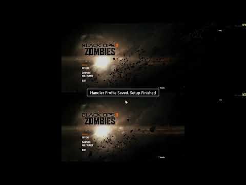 How to Play Split Screen On Black Ops II PC