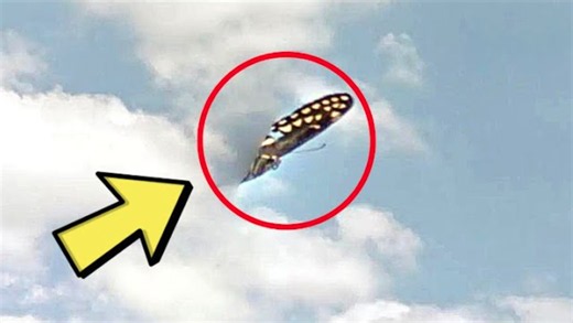Farmer Captures Mysterious Object From Outer Space in Shock