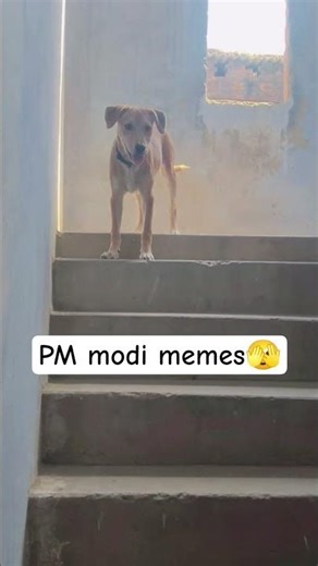 PM modi memes 🫣🧐 beta memes #lucykiduniya #viral #status #shorts #trending #modimemes #modivirals