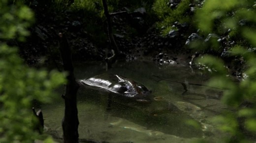 100 million gallons of fake water, simulated on a $300 graphics card, by one guy in his room.Avatar: The Way of Water spent $250 million on VFX. Water was the single hardest problem. Cameron had to build underwater motion capture technology that didn't exist yet, then deploy 2,500 artists across multiple studios for years to get those ocean surfaces right.Godzilla Minus One won the VFX Oscar on a $15 million effects budget because one young compositor brought water simulations he'd been running 