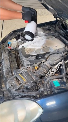 Deep Cleaning an Insanely Dirty Engine Bay!