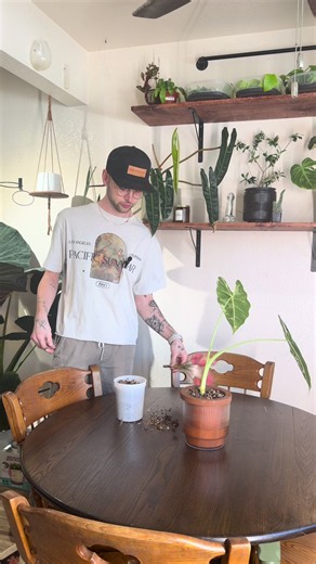 Last Time I Promise: New Plant Ideas & Tips for Your Collection