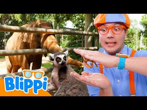 ブリッピーとシンガポール動物園！大きなゾウと不思議な虫に会いに行こう 🐘🦋 | シンガポールアドベンチャー | ブリッピー 日本語 - 幼児向け教育動画 Blippi