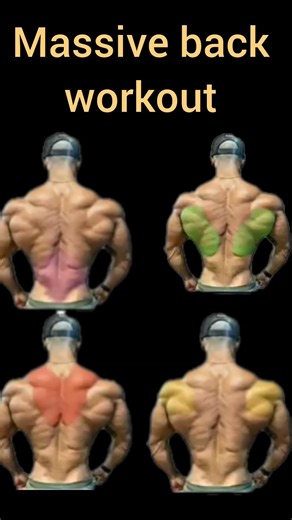 Complete Back Workout: How to Target Every Muscle (Lats, Upper & Lower Back)