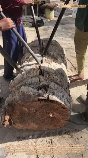 Fendage manuel : fendre un tronc de palmier à l'aide de leviers et de la force